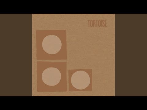 Tortoise — Ry Cooder