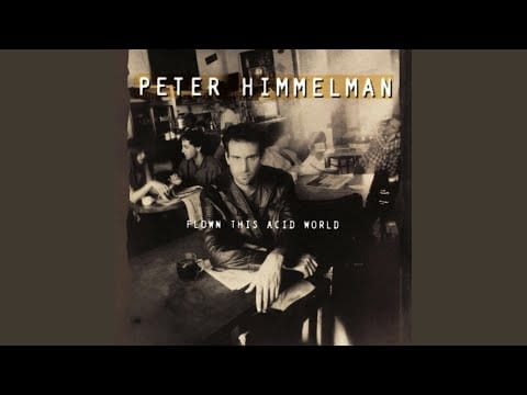 Peter Himmelman — Flown This Acid World