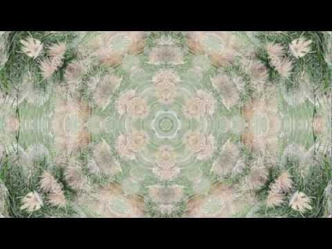 Franck Pourcel Et Son Grand Orchestre — Franck Pourcel (France) - Pas sur la bouche