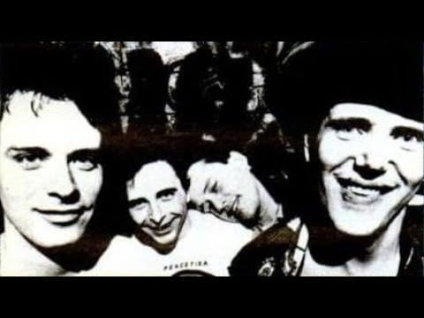 Cows — Cows - Contamination