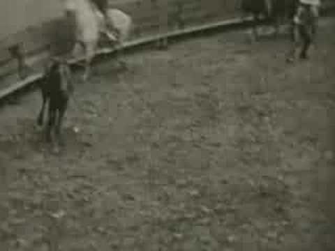 Alexander Tucker — Alexander Tucker - Rodeo in the Sky