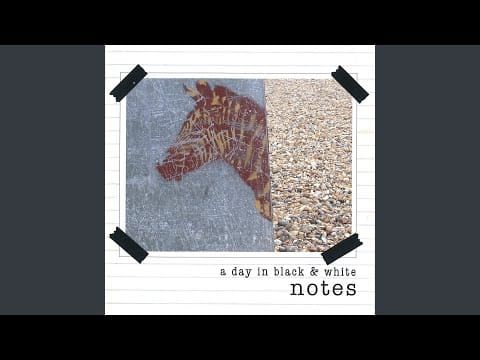 A Day In Black And White — Tinnitus