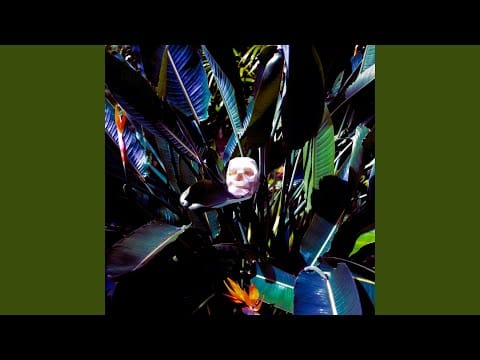 Ricardo Remédio — Ossos
