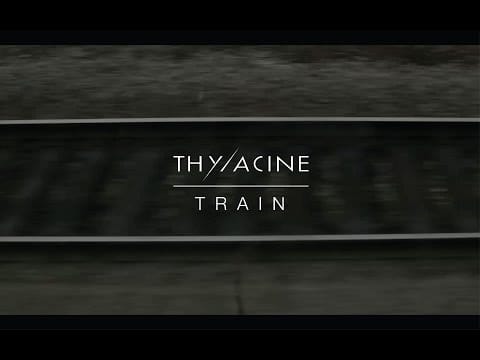 Thylacine (4) — THYLACINE - Train  [Transsiberian album]