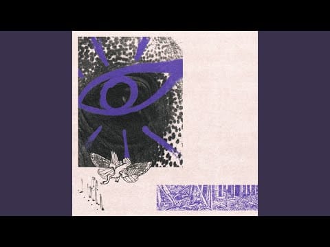 Hippo Campus — 2 Young 2 Die