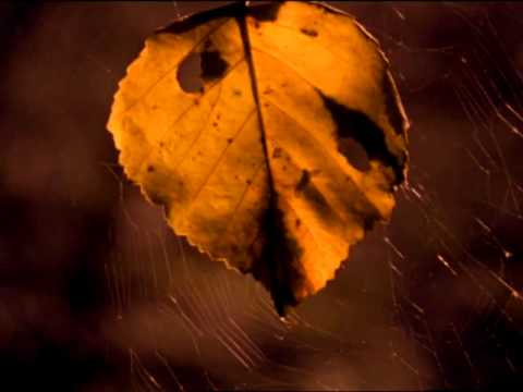 The Lancashire Hustlers — The Lancashire Hustlers - sing 'Autumn' by Walter de la Mare