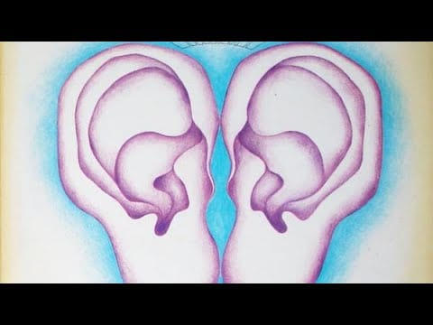Pierre Courbois — Association / Pierre Courbois – Earwax 1970 Free Jazz, Jazz-Rock Full Album
