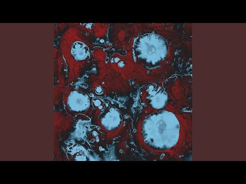 The Black Queen — Lies About You