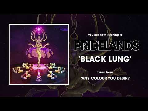 Pridelands — Pridelands - Black Lung