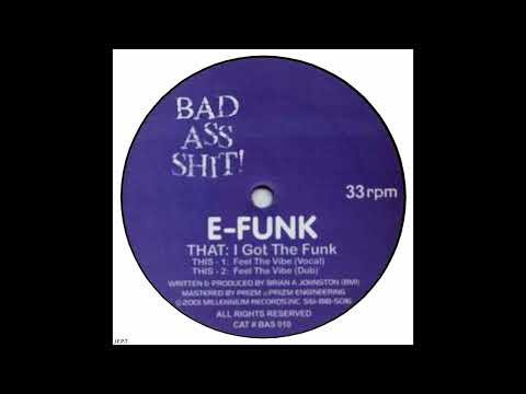 DJ E-Funk — DJ E-Funk – I Got The Funk