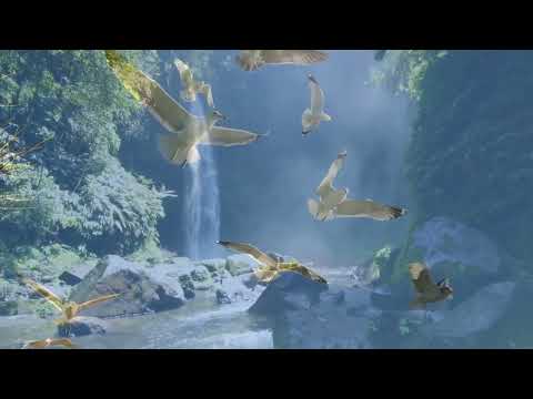 Stephen Schlaks — Blue Dolphin    -   Stephen Schlaks