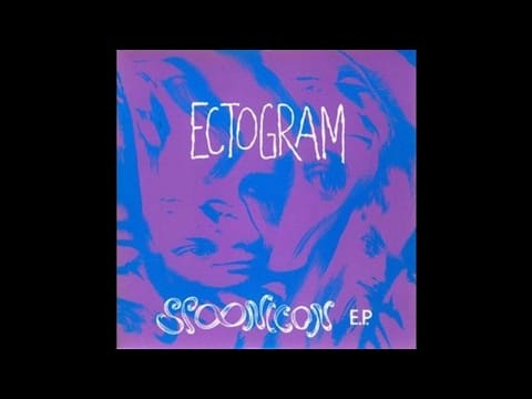 Ectogram — Ectogram - Torn In A Teacup