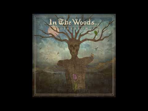 In The Woods... — IN THE WOODS... - A WONDERFUL CRISIS (TRACK PREMIERE)