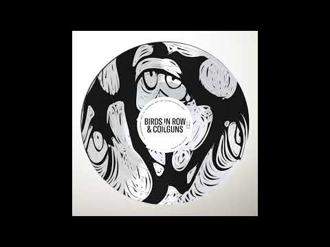 Birds In Row — Birds in Row & Coilguns - Stranding Shelters (Official Audio)