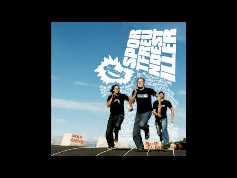 Sportfreunde Stiller — Ich Roque