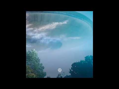 Phil Moffa — Dj Spider & Phil Moffa -  Tang Dream [OUT023]
