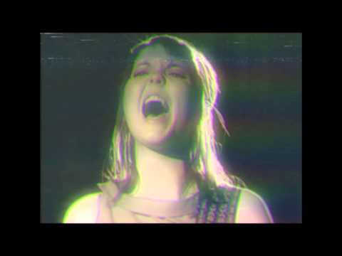 Have You Ever Seen The Jane Fonda Aerobic VHS? — Have You Ever Seen The Jane Fonda Aerobic VHS? - (Do The) Shämäläin