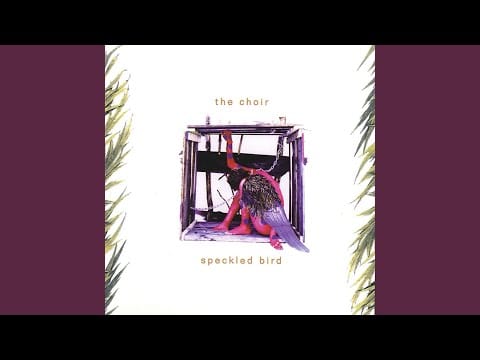 The Choir (2) — Weather Girl