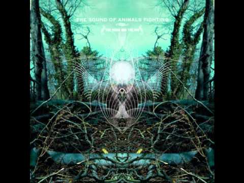 The Sound of Animals Fighting — The Sound of Animals Fighting- The Ocean & The Sun