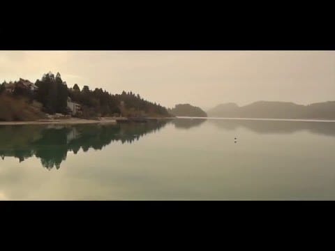 Elisa Montaldo — Weeping Willow - Elisa Montaldo - from Fistful of planets part I