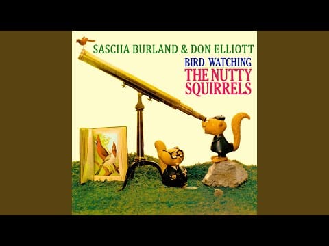 The Nutty Squirrels — Bird Watching