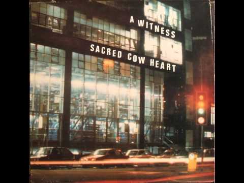 A Witness — sacred cow heart - a witness - hard days love.flv