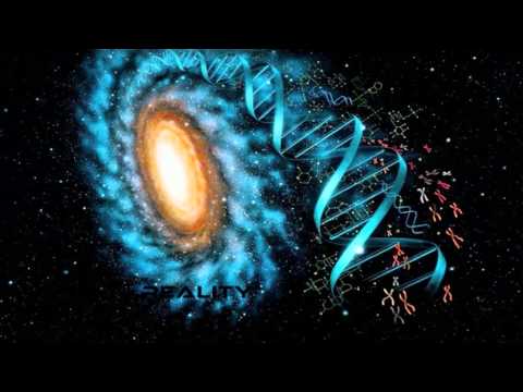Sound Structure — Sound Structure - Reality ·1997·