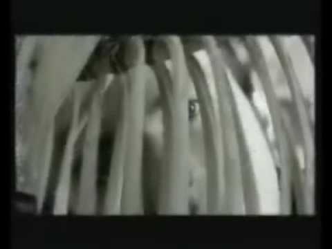Subsonica — Subsonica Liberi Tutti