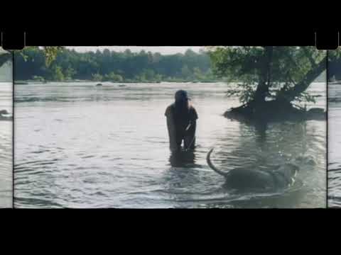 Tim Barry — TIM BARRY "Grace" (OFFICIAL)