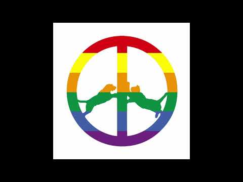 Hype Williams (2) — Hype Williams - Rainbow Edition (2017)