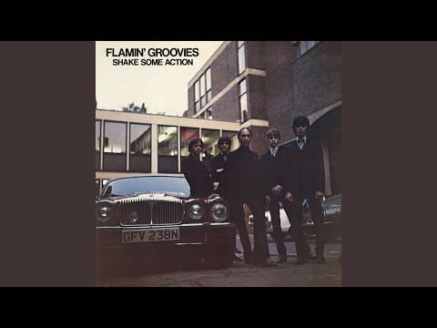 The Flamin' Groovies — Shake Some Action