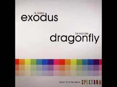 Lemon D — A-Sides " Exodus "  VLV019