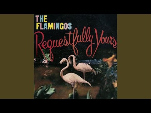 The Flamingos — I Was Such a Fool (To Fall in Love with You)