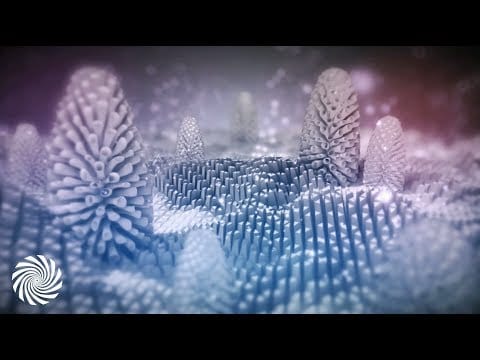 Ascent — Bitkit - Don't Wait (Lexxus Remix) [Psychedelic Visuals]