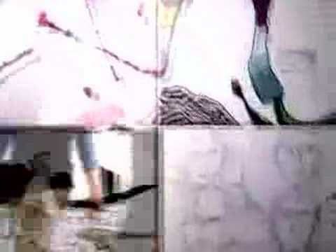 Dukes Of Windsor — Dukes of Windsor video clip - 'The Others'