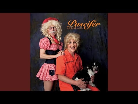 Puscifer — Tumbleweed (The Beta Machine Delusions of Grandeur Mix)