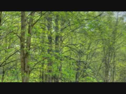 Serge Reggiani — Serge Reggiani     chante  Boris Vian        Je voudrais pas crever...