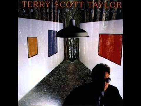 Terry Taylor — Terry Scott Taylor - 1 - A Briefing For The Ascent - A Briefing For The Ascent (1987)
