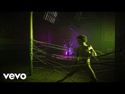Walt Disco — Macilent