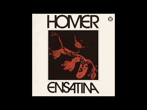 Homer Steinweiss — Homer - Ensatina - Full Album