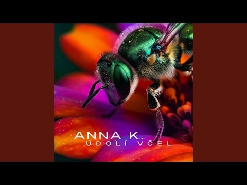 Anna K — Údolí včel