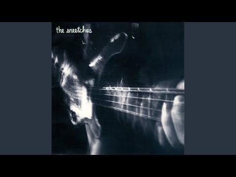 The Sneetches — Please Don't Break My Heart