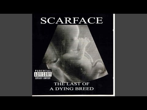 Scarface (3) — In & Out