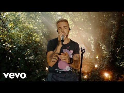 Liam Payne — Liam Payne - Sunshine (From the Motion Picture “Ron’s Gone Wrong” / Acoustic Performance)