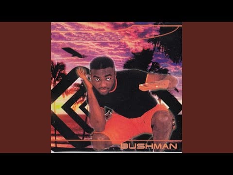 Bushman (2) — No 1 Else (Radio Mix)