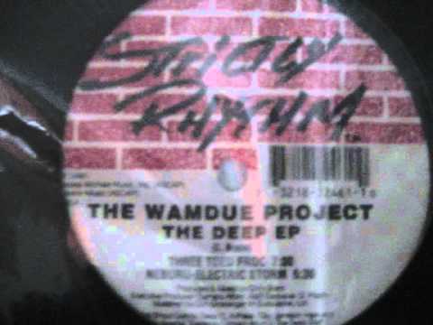 Wamdue Project — Wamdue Project - Remember The Memory