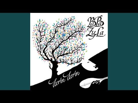 Baba Zula — Transendance