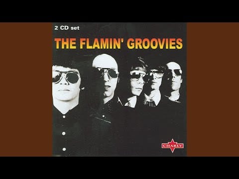 The Flamin' Groovies — I Can't Stay Away - Live