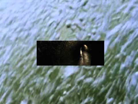 Death And Vanilla — Death And Vanilla - Somnambulists
