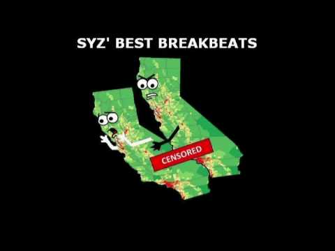 Bass Mekanik — Bass Mekanik feat. Afro-Rican - Do It (Sharaz remix)